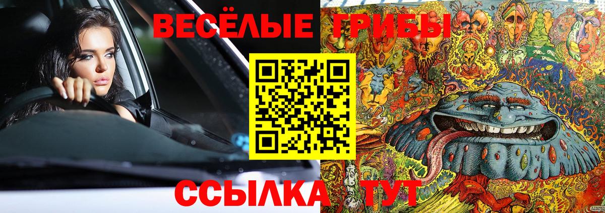 Галлюциногенные грибы мухоморы  Вход с VPN  Грозный  хочу наркоту  Псилоцибиновые грибы Psilocybe 