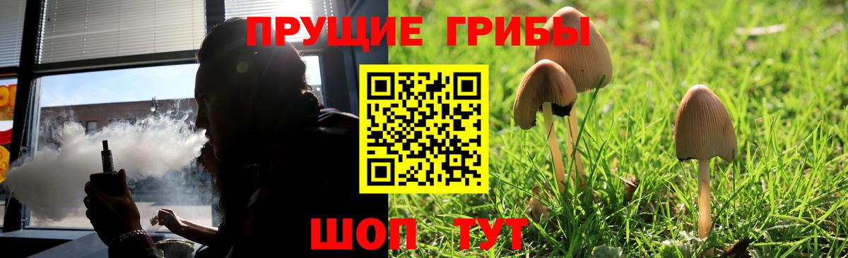 Псилоцибиновые грибы мухоморы Грозный